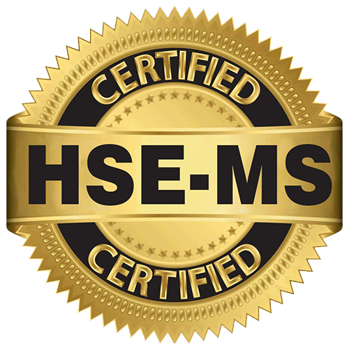 HSE-MS